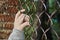 The human hand of a teenage child holds on to a mesh of rabitz. Fence, barrier, fenced place