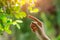 Human hand touching pointing finger to nature green leaf