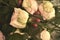 Human hand under the water with white roses. Death and flowers. The art of the photo.