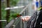 The human hand was holding the feed plastic cup For feeding beautiful colored parrots Is an activity of the zoo organized for