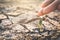 Human hand watering little green plant on crack dry ground