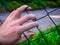 Human hand on a wire fence - refugee, prisoner, border etc. - concept