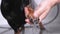 Human hands carefully washing the front legs of black and tan dachshund standing on ceramic floor and having a bath