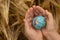 Human hands holding an earth globe on top of a golden barley field