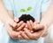 Human hands holding green sprout leaf growth at dirt soil