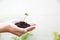 Human hands holding seed tree with soil on blurred agriculture f