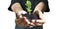 Human hands holding sprout young plant