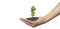 Human hands holding sprout young plant.environment Earth Day In hands of trees growing seedlings