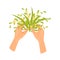 Human hands make bouquet of small yellow flowers and green herbs. Hobby and leisure theme. Flat vector icon