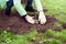 Human hands planted a young tree in the Park.