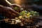 Human hands planting a small seedling in the ground closeup, a green plant in the soil, growth and development concept, AI