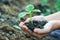 Human hands planting a sprout to the ground. Protecing enviroment