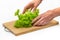 Human hands put green salad on a wooden cutting board. Side view. Salad preparation