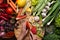 Human hands slicing vegetables and variation of vegetables and spices around