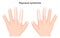 Human hands with symptoms of Raynaud syndrome
