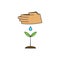 Human hands watering a young plant. Vector illustration on the theme of restoring world forests. Growth of seedling and greening