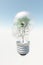 Human head light bulb with tree