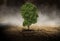 Human Head Tree, Environment, Evironmentalist