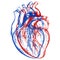 Human Heart 3D