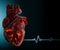 Human Heart - Anatomy of Human Heart 3d Illustration