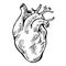Human heart black line, tattoo. Vector illustration.