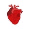 Human heart cardiac illustration