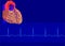 Human heart& Electrocardiogram