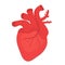 Human heart icon, flat style. Internal organs symbol. Anotomy, cardiology, concept. Isolated on white background. Vector