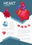 Human heart infographic