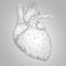 Human Heart Internal Organ Triangle Low Poly. Connected dots white gray neutral color technology 3d model medicine healthy body pa