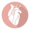 Human heart internal organs vector icon on a round red background for apps or website