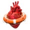 Human heart with lifebuoy, heart protect concept. 3D rendering