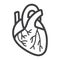 Human heart line icon, medicine and healthcare