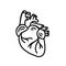 Human heart organ hand drawn doodle icon. Anatomical heart shape. Vector illustration