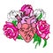 Human heart with pink roses.