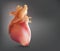 Human heart show powder is a 3D image.