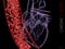 Human heart and vein with blood cells. polygonal graphics. 3d Illustration