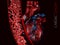 Human heart and vein with blood cells. polygonal graphics 3d Illustration