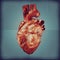 Human heart vintage blueprint