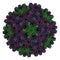 Human hepatitis B virus HBV capsid. HBV causes hepatitis B, an inflammatory disease of the liver. Atomic-level structure.