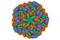 Human hepatitis E virus capsid