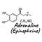 Human hormone adrenaline, epinephrine concept chemical skeletal formula icon label, text font vector illustration, isolated on