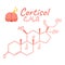 Human hormone cortisol concept chemical skeletal formula icon label, text font vector illustration, isolated on white. Periodic
