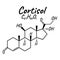 Human hormone cortisol concept chemical skeletal formula icon label, text font vector illustration, isolated on white. Periodic