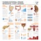 Human Internal Organ Health And Medical Infographic Chart Diagram