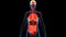Human Internal Organs Brain Lungs Intestine Anatomy Animation Concept