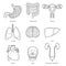 Human Internal Organs Outline Objects Icons Set