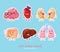 Human internal organs patches design. Funny human body organs stickers. Kidneys, liver. Heart, brain and lungs.