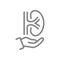 Human kidney on hand line icon. Rescue, treatment, disease prevention symbol