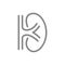Human kidney line icon. Healthy internal organ symbol